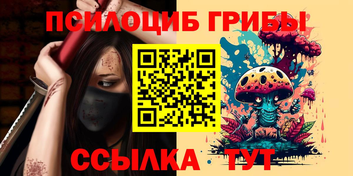 Елабуга  Псилоцибиновые грибы Magic Shrooms  Вход с VPN 