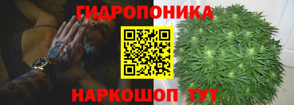 Конопля Bruce Banner Елабуга
